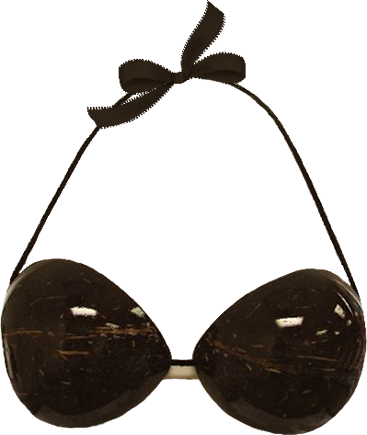 Png Freeuse Stock Bra Free On Dumielauxepices Net - Coconut Bra Clip Art (367x435), Png Download