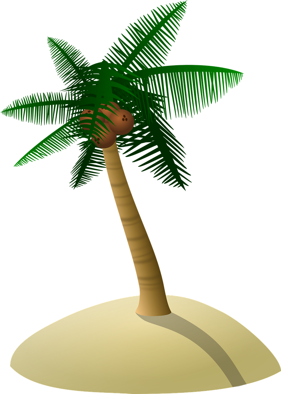Coconut Tree Palm Tree Dune - Coconut Tree Vector Png (913x1280), Png Download