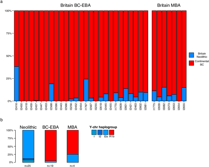 Population Transformation In Britain Associated With - 2017 (850x696), Png Download