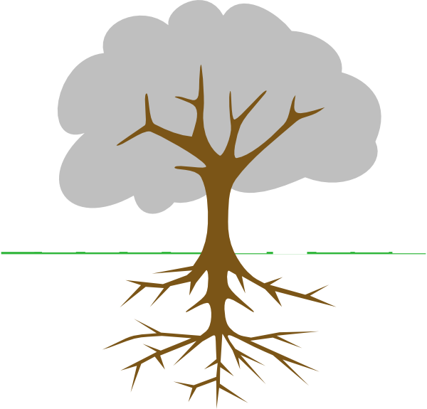 28 Collection Of Tree Clipart With Roots - Tree With Roots Cartoon (600x575), Png Download
