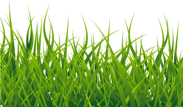 Grass Png Transparent Images - Transparent Grass Vector Png (640x480), Png Download