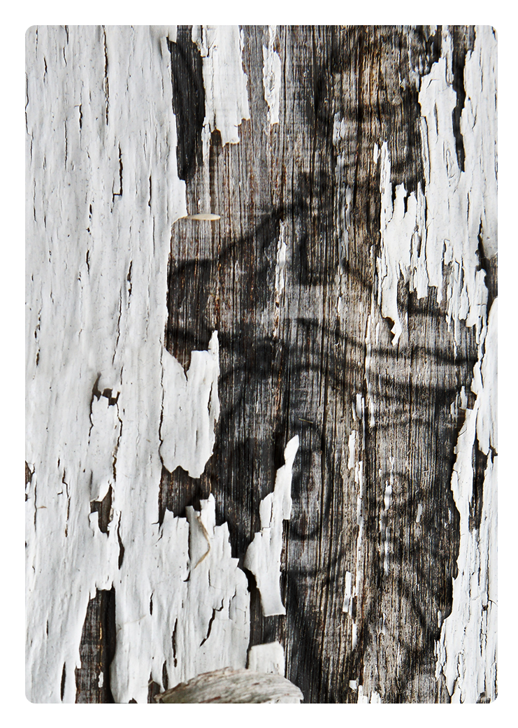 Wood Tome 1 - Visual Arts (816x1110), Png Download