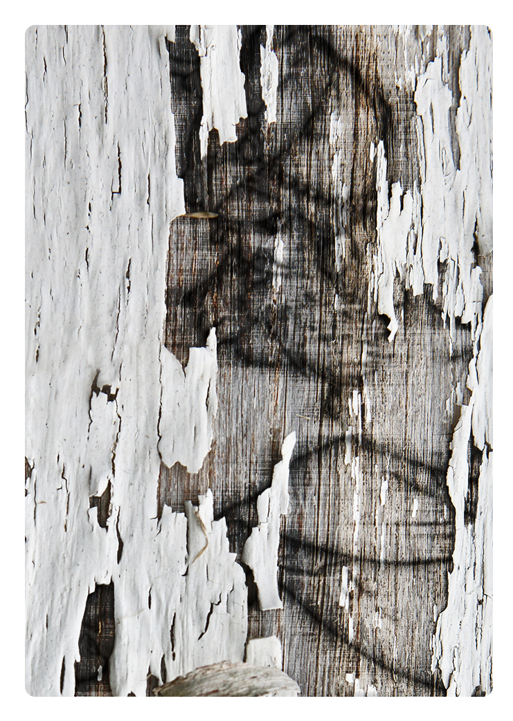 Wood Tome 2 - Visual Arts (816x1110), Png Download