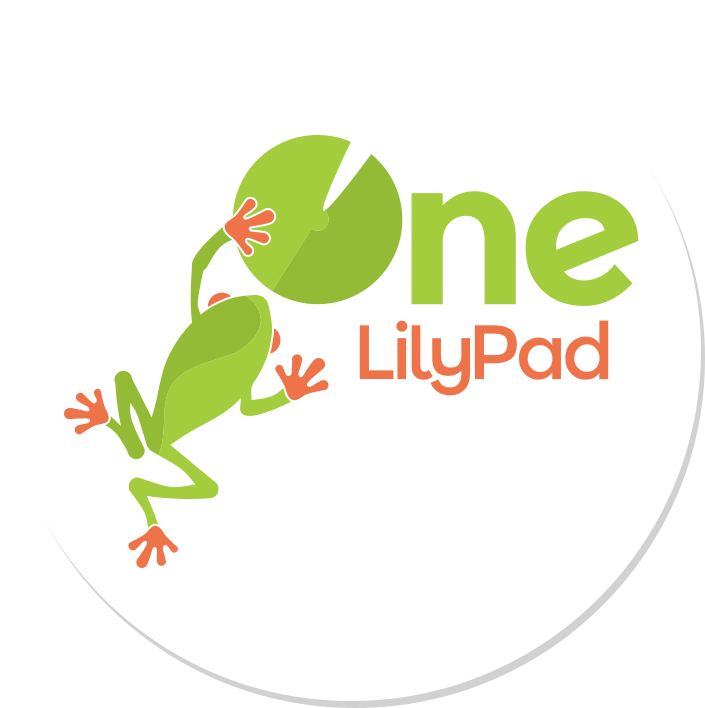 Leave A Comments Cancel Reply - Red-eyed Tree Frog (900x800), Png Download