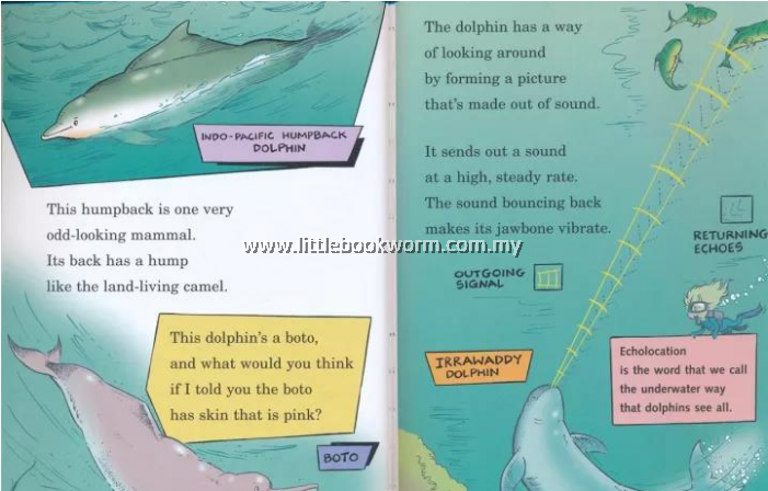 Tiger Shark (700x700), Png Download