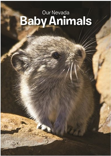 Baby Animals Transparent - Animaux Typique Du Canada (600x600), Png Download