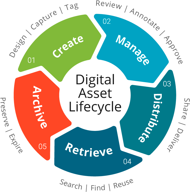 What Is Digital Asset Management - Quit Smoking Clip Art (800x800), Png Download