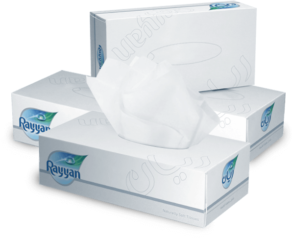 Rayyan 2 Ply Facial Tissue 150 Sheets - Rayyan Tissue (605x605), Png Download