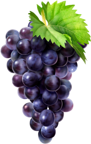 Grape - Grapes Png (866x650), Png Download