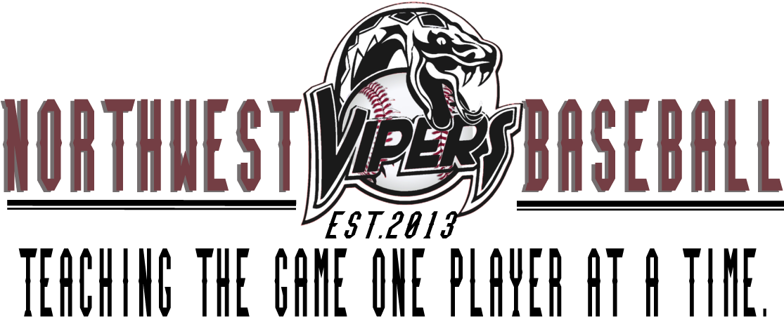 Banner2019 - Northwest Baseball Vipers (1125x488), Png Download
