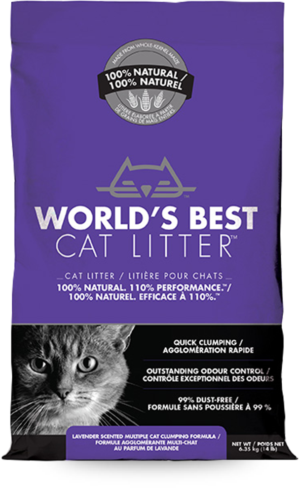 World's Best Cat Litter - Kitten (752x1024), Png Download