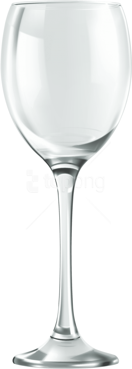 Free Png Empty Wine Glass Png Images Transparent - Empty Wine Glass Png (480x1285), Png Download