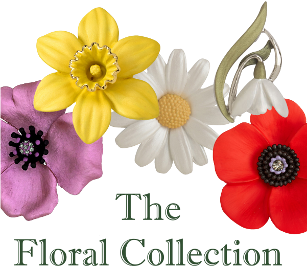 Forget Me Not - African Daisy (600x600), Png Download