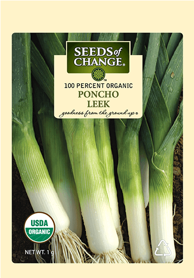 Organic Poncho Leek Seeds - Seeds Of Change (573x573), Png Download