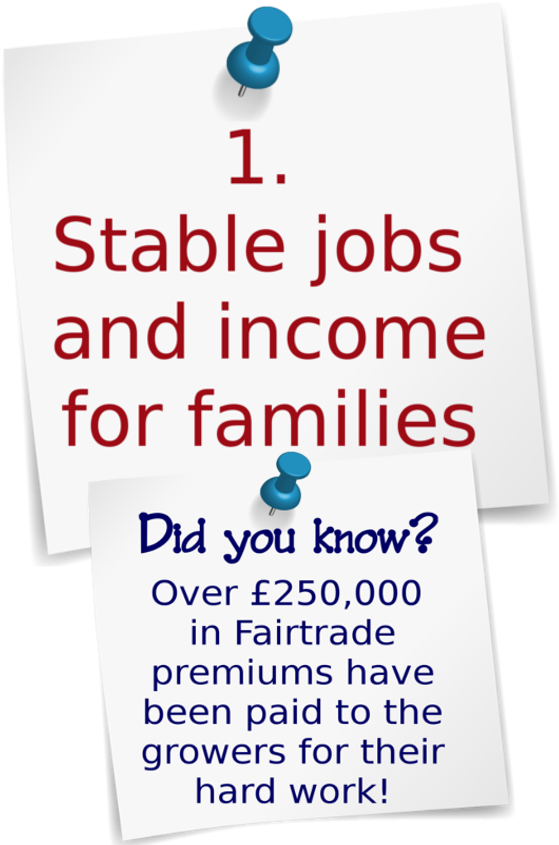 1pondicherryf - Like Bacon (650x850), Png Download