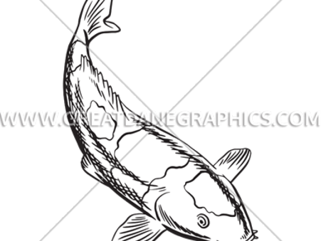 Tipos De Articulaciones Del Cuerpo (640x480), Png Download