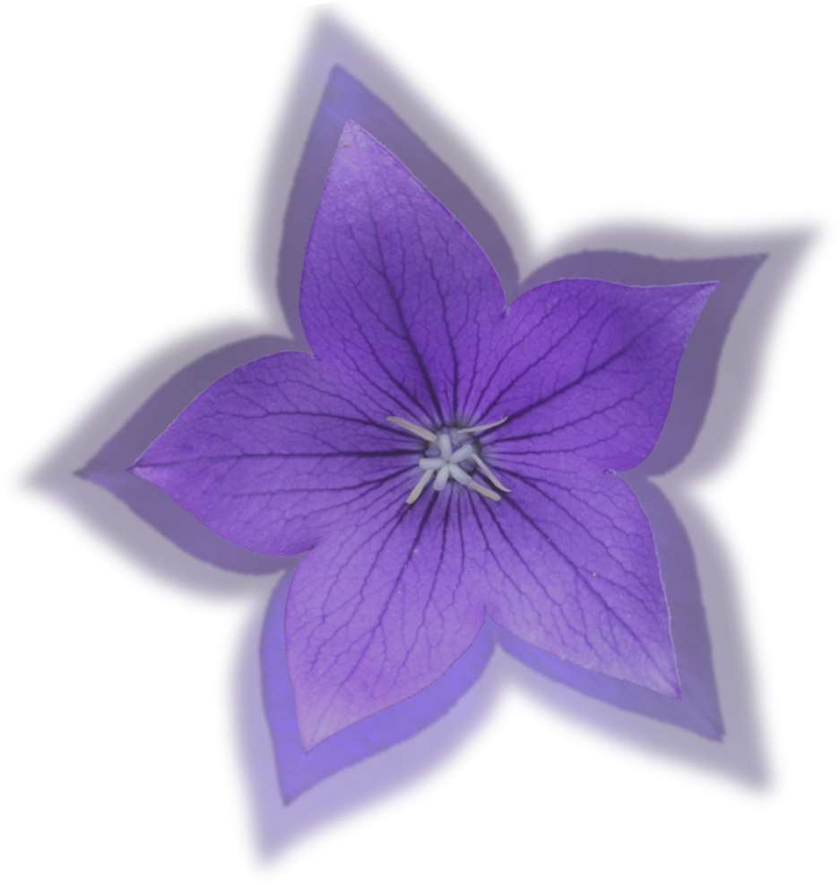 Hibiscus Pink Clip Art At Clkercom Vector - Small Flower Logo (2880x1440), Png Download