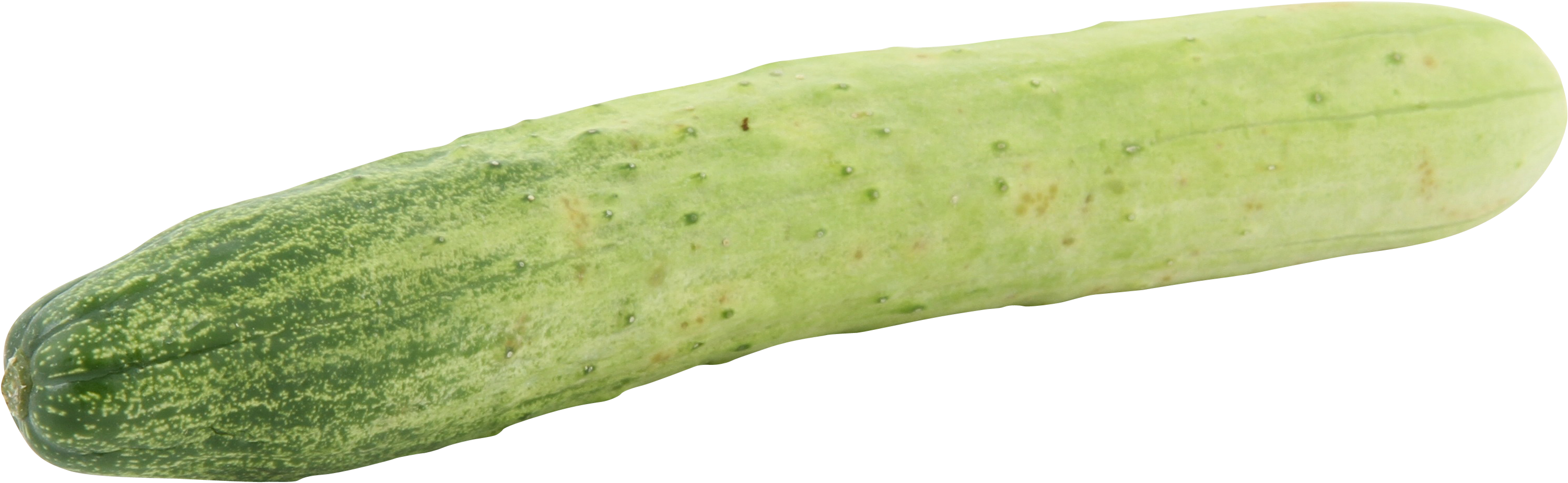 Cucumber-155710 Clip - Squash (5184x3456), Png Download