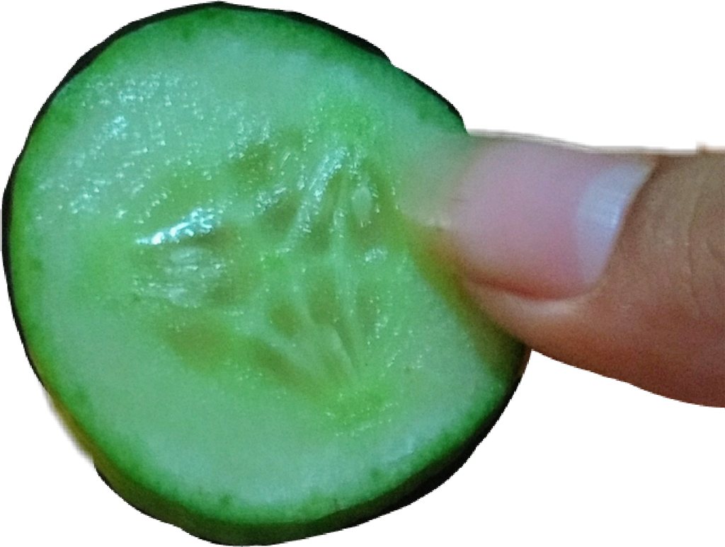 Report Abuse - Macro Photography (1024x773), Png Download