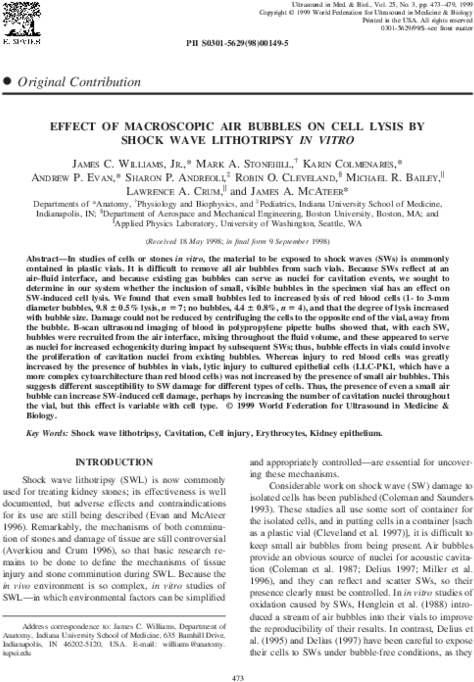 Pdf - Corona De Adviento (600x776), Png Download