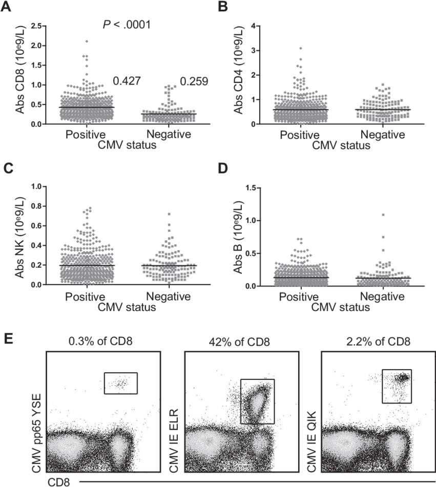 Absolute Number Of Cd8 T Cells, Cd4 T Cells, Nk Cells, - Diagram (850x957), Png Download
