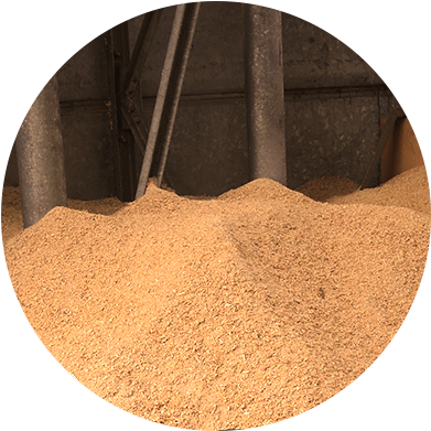 The Analysis Also Covered The Design Of A New Hall - Circle (888x444), Png Download