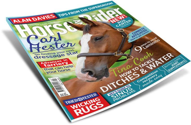 April Horse&rider Magazine - Stallion (767x514), Png Download