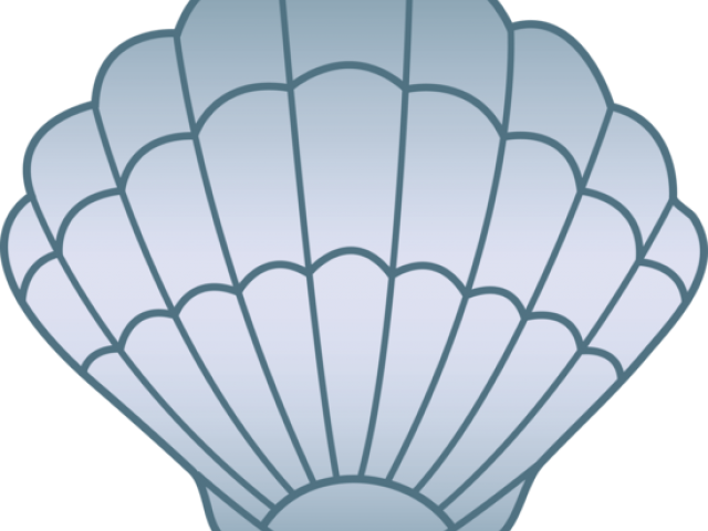 Transparent Background Seashell Clip Art (640x480), Png Download