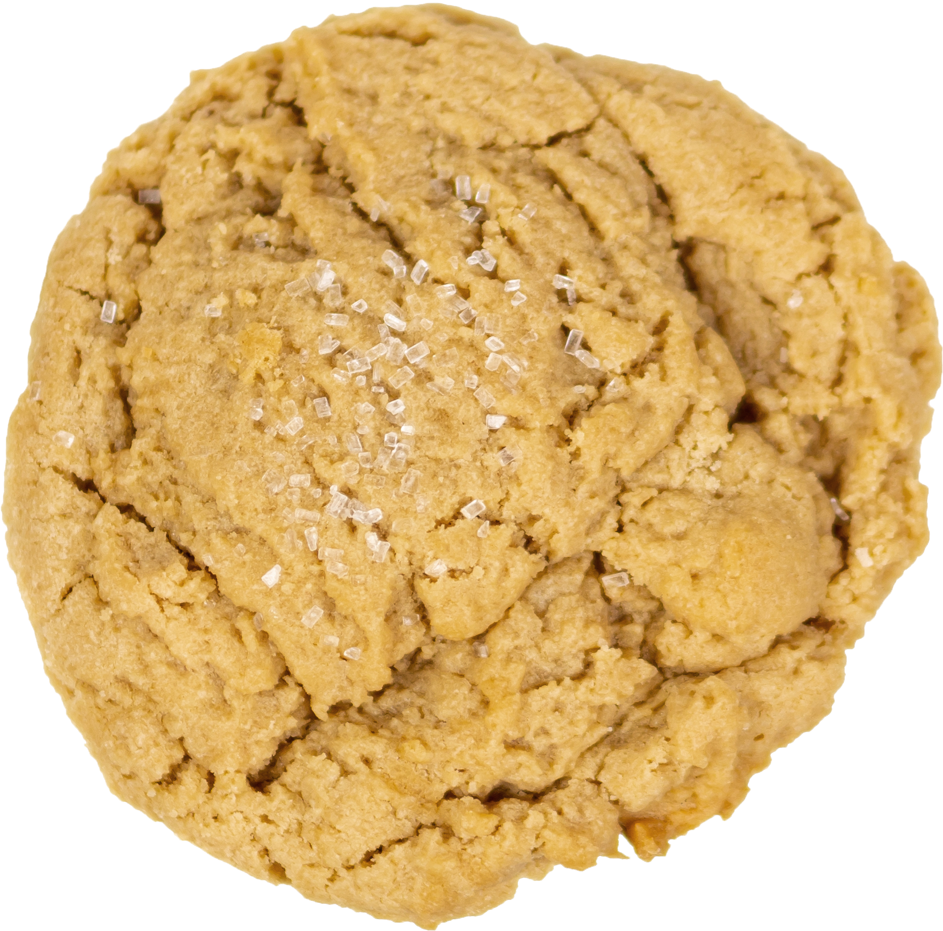 Peanutbutter Cookie - Peanut Butter Cookie (1932x1932), Png Download