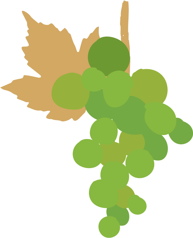 Later, It Can Be Turned Into Dry Grape For Production - Clip Art Grape Leaves (792x884), Png Download