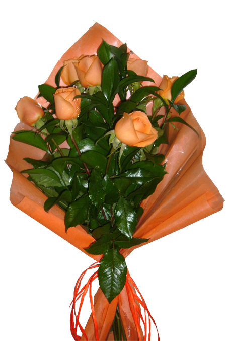 12 Rosas Salmão - Garden Roses (500x676), Png Download