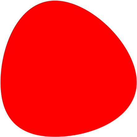 Círculo O Huevo - Circle (557x586), Png Download