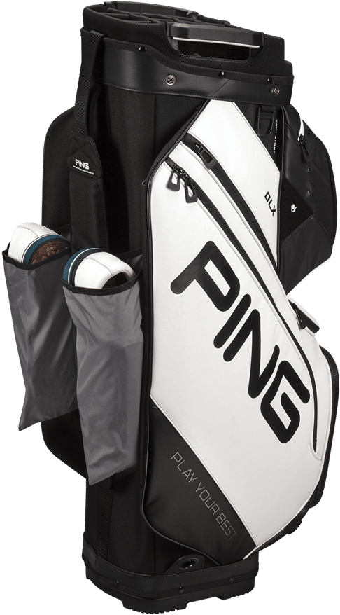 Free Gift - Ping 2019 Bags (1000x1000), Png Download