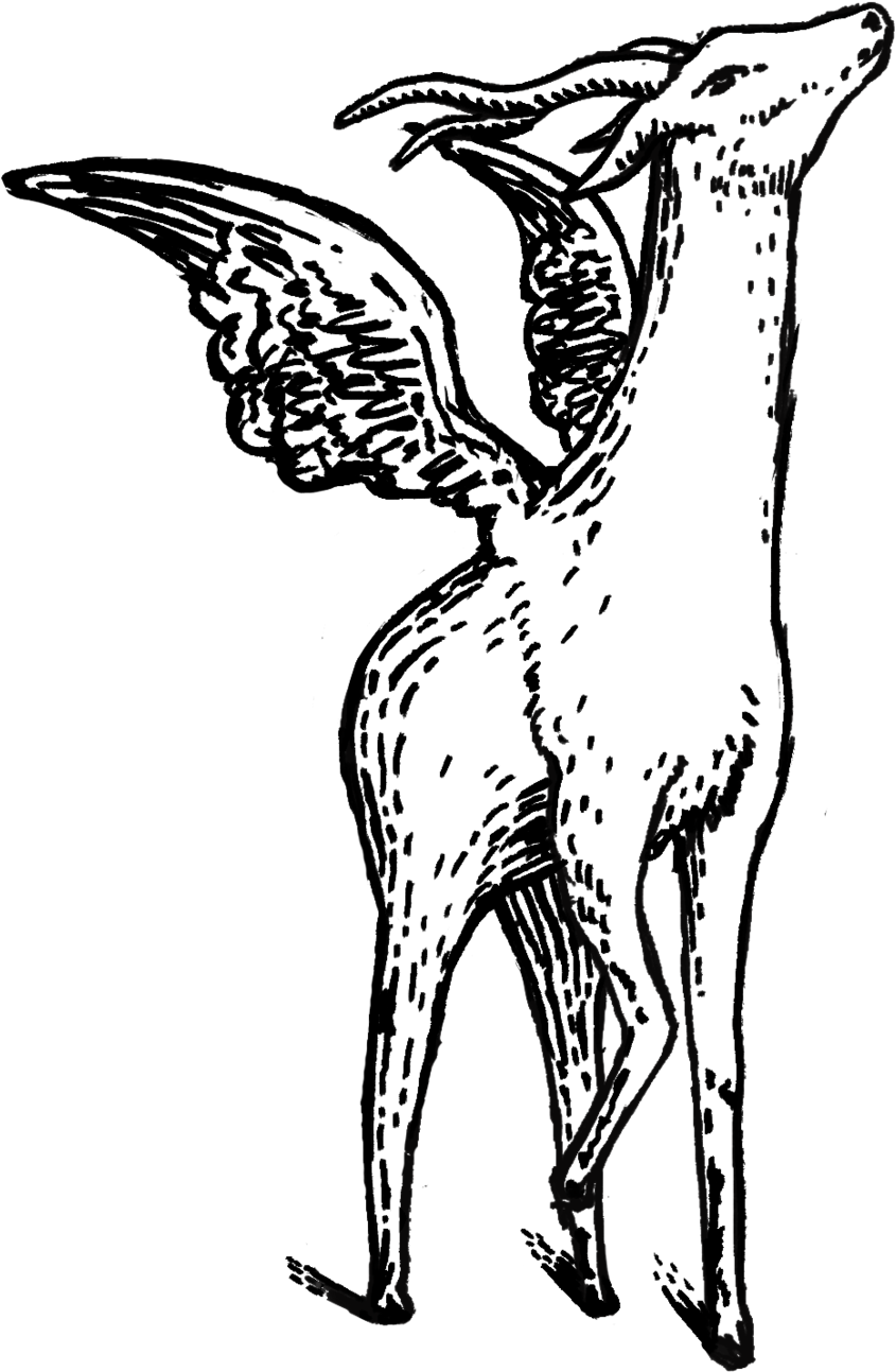 Dmo Illustrations Goat-chan - Sketch (1000x1413), Png Download