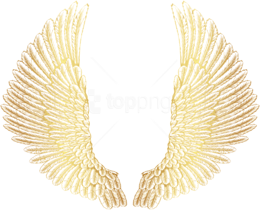 Free Png Download Gold Wings Clipart Png Photo Png - Golden Wings Png (850x695), Png Download