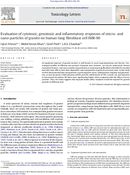 Evaluation Of Cytotoxic, Genotoxic And Inflammatory - Atlas Of Human Anatomy (600x795), Png Download
