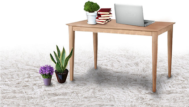 With Our Knowledge And Proficiency In Indoor Live Plant - Sofa Tables (654x618), Png Download