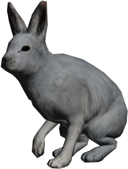 Arctic Hare Clipart Transparent - Arctic Hare Png (1024x768), Png Download