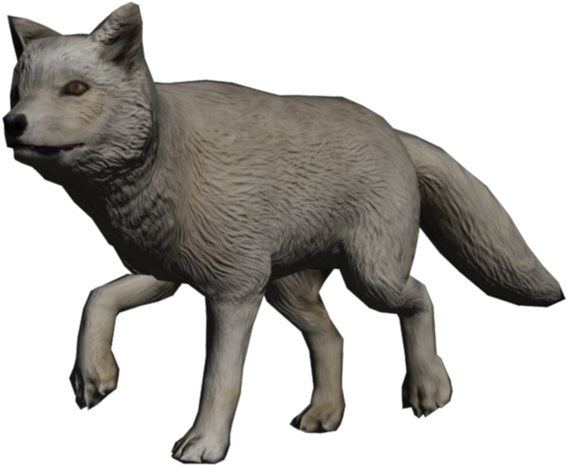Portrait Fox Arctic Fox - Swift Fox (1024x768), Png Download