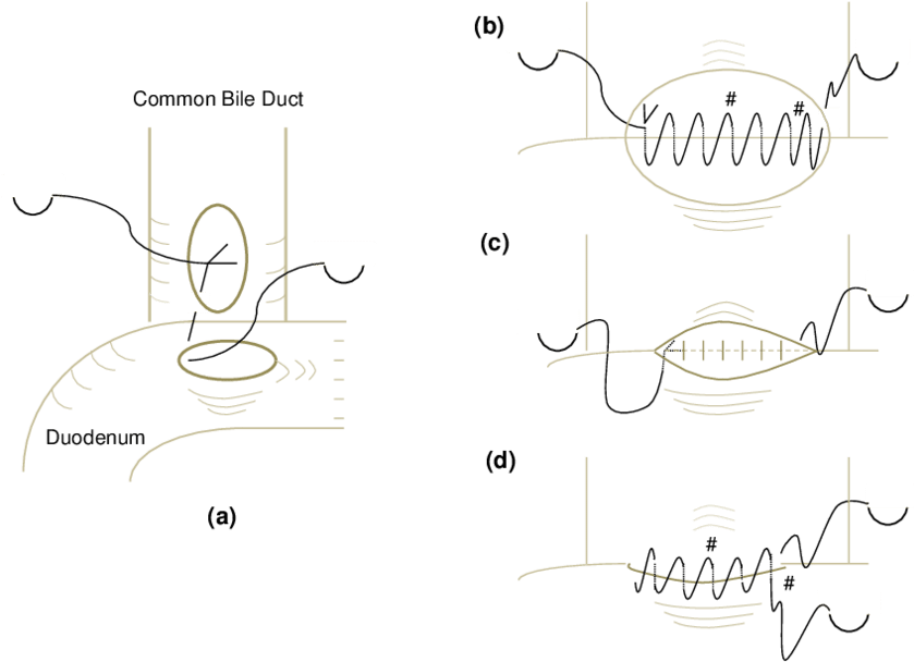 850 X 609 2 - Line Art (850x609), Png Download