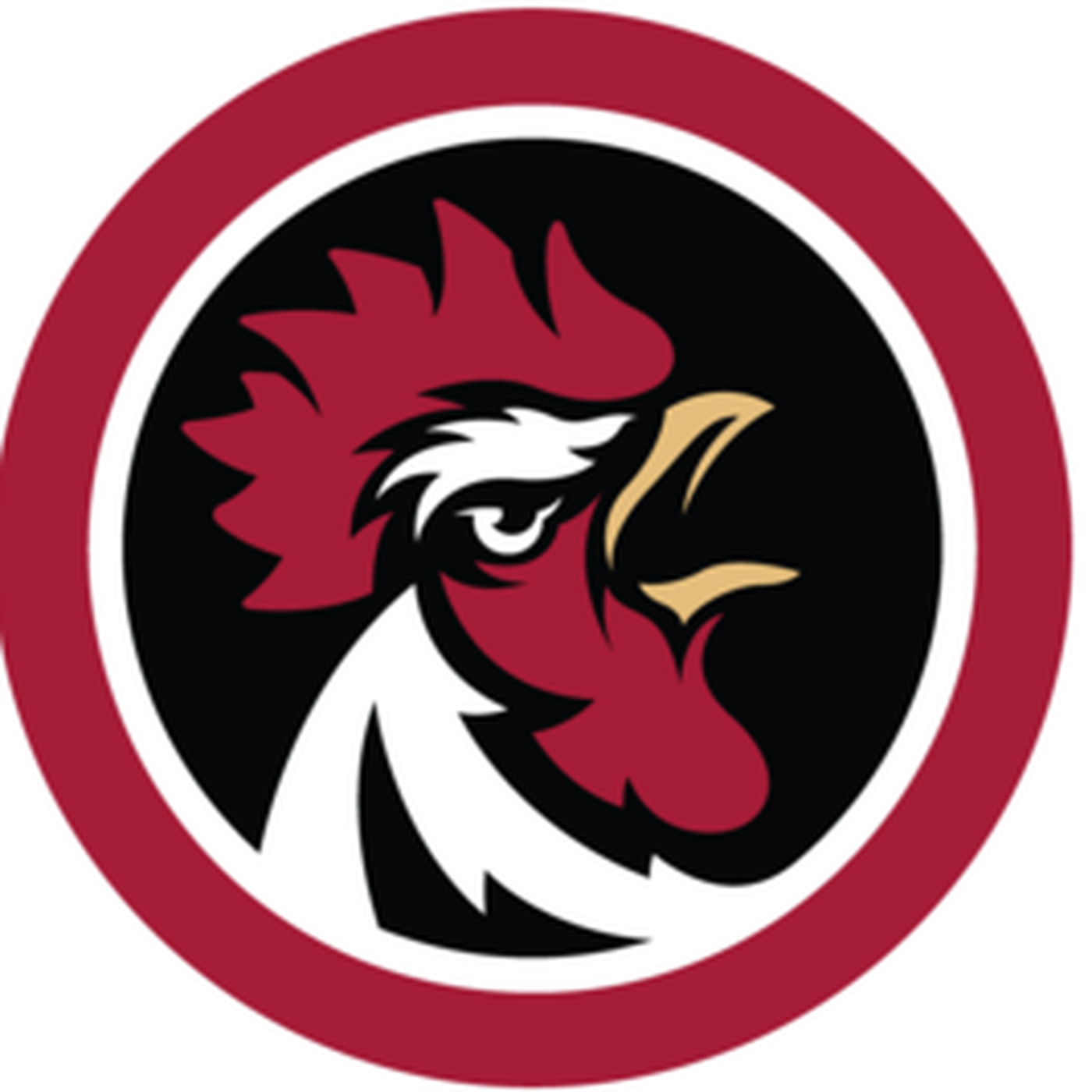 An Interview With Former Gamecock Baseball Player Drew - Sb Nation (1400x1400), Png Download