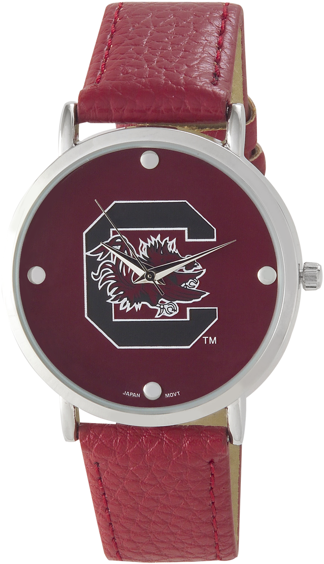 South Carolina Vegan Leather Watch - Kenneth Cole New York Watch Automatic (732x1280), Png Download