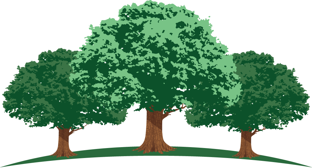 1000 X 539 2 - Oak (1000x539), Png Download