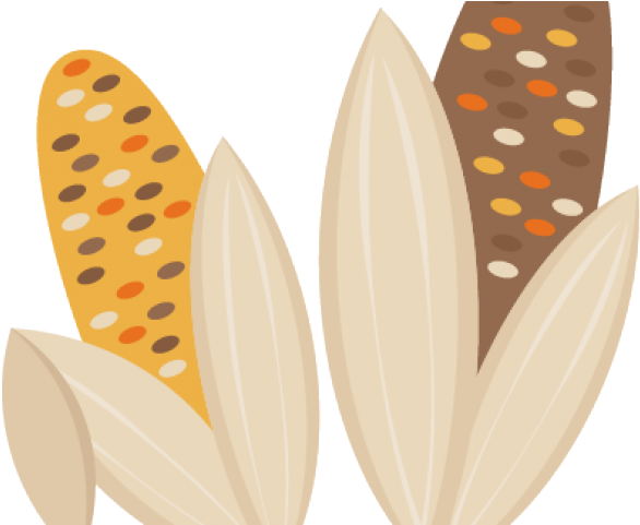 Cute Indian Corn Clipart (640x480), Png Download
