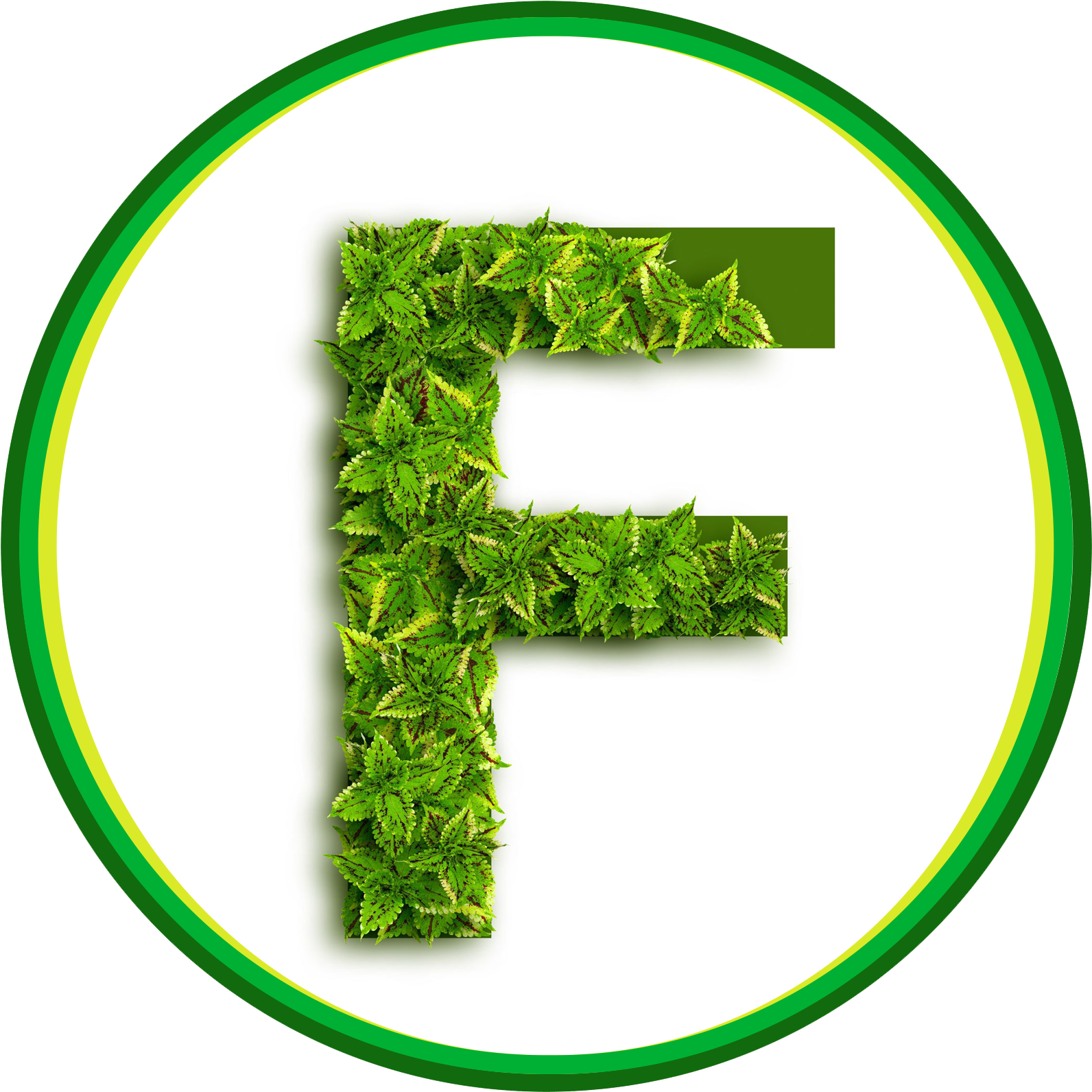 Presentation For The Thesis - Number (2048x2048), Png Download