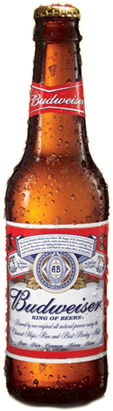 Budweiser Bottle 33 Cl [united States] - Budweiser Beer Bottle (1143x1600), Png Download