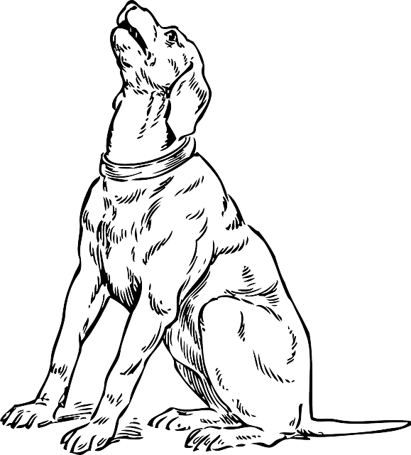 Silhouette, Cartoon, Dog, Dogs, Sitting, Barking, Pet - Dog Clipart Black And White (579x640), Png Download