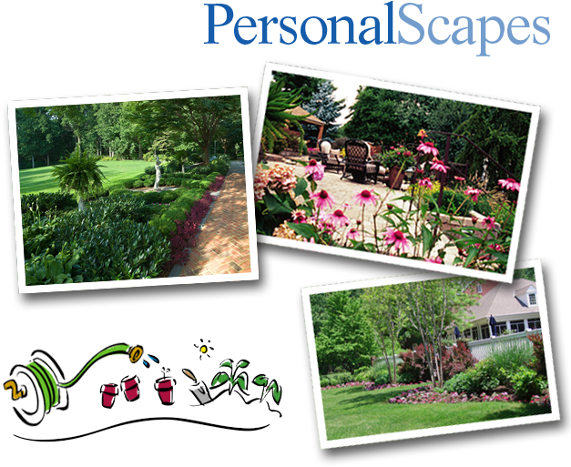 Botanical Garden (644x575), Png Download