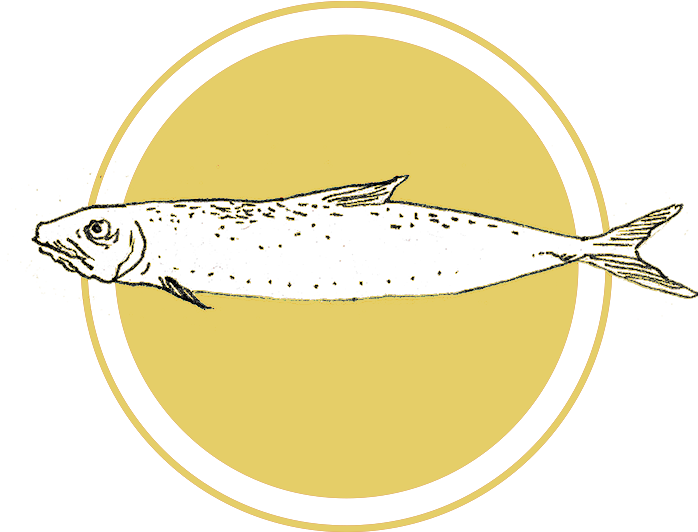 Sardine - Bruins Stanley Cup 2011 (700x664), Png Download