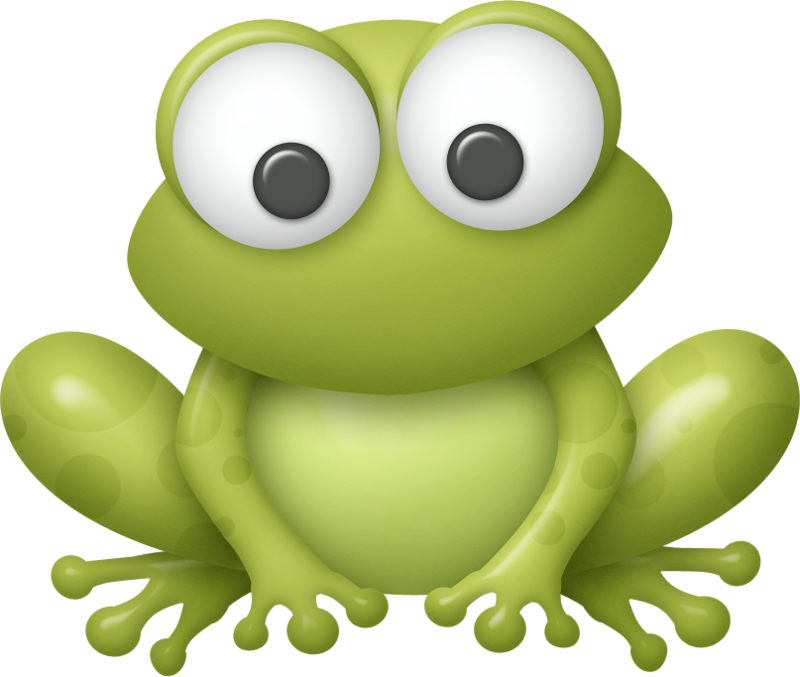 Frogs ‿✿⁀°••○ - Cute Baby Frog Drawing (800x677), Png Download